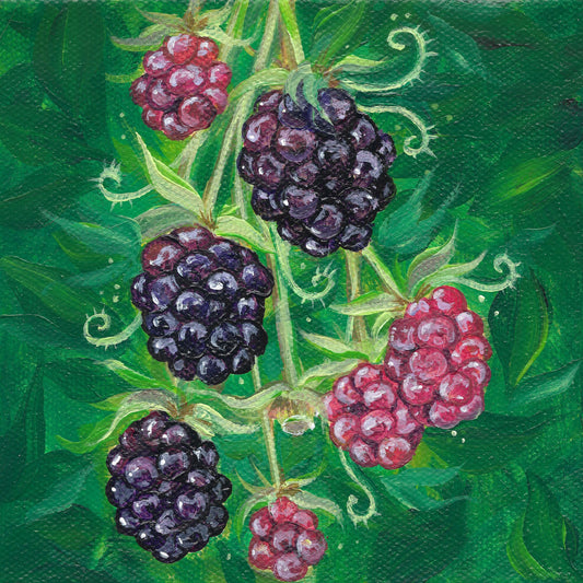 Whimsical Blackberry Print